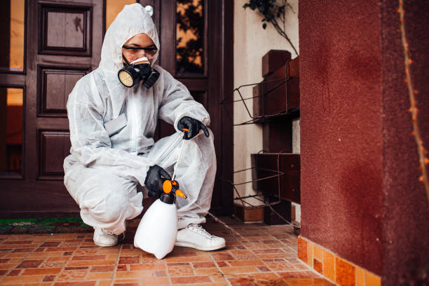 Attic and Crawl Space Rodent Treatment in Lake Telemark