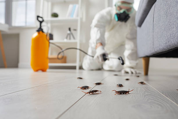 Commercial Rodent Management in Lake Telemark